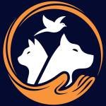 العيادة الإيرلندية البيطرية Irish Vet Clinic